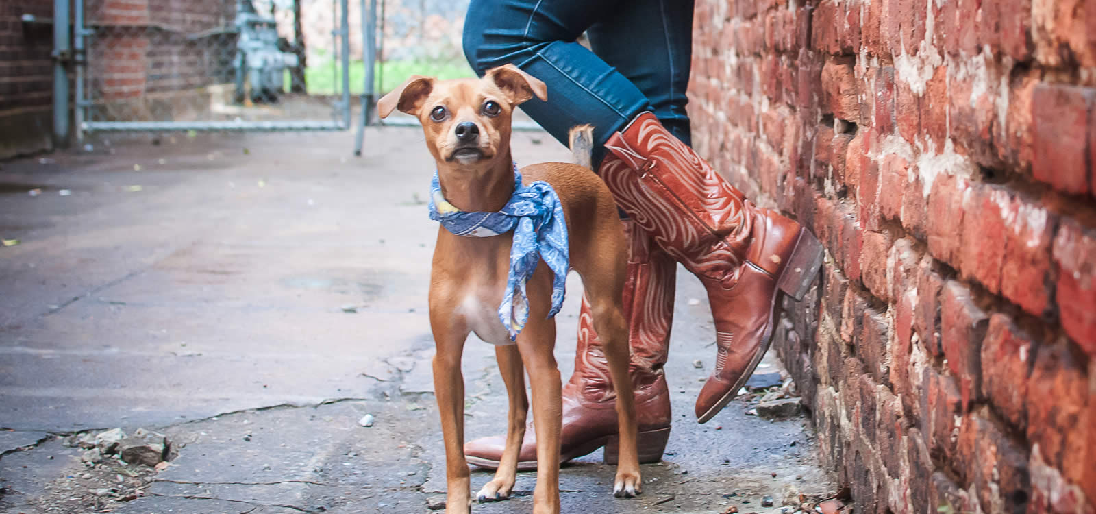 Erika Grace Powell About Me and my dog Ginger