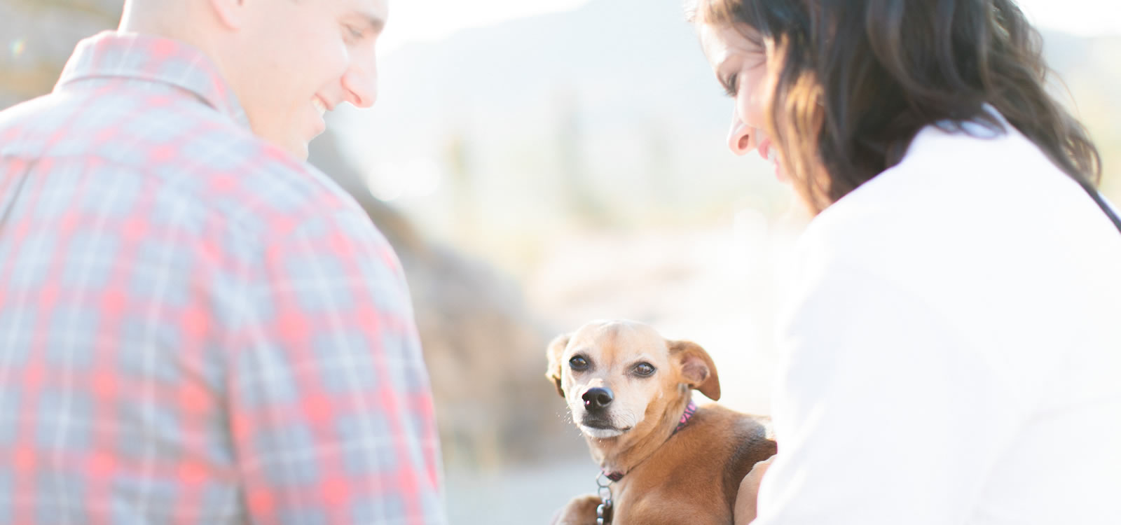 Erika Grace Powell Bio